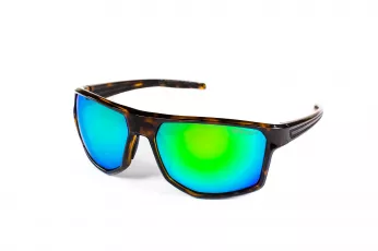 KA01-02 C6 shiny tortoise-green13